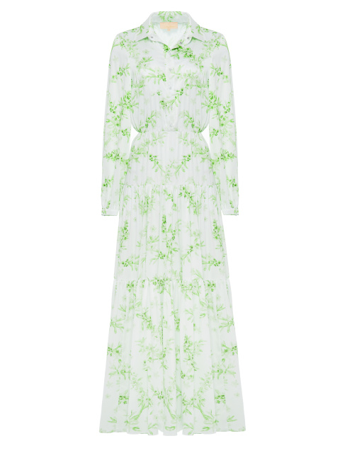 Шелковое платье-макси с зеленым цветочным принтом, 1