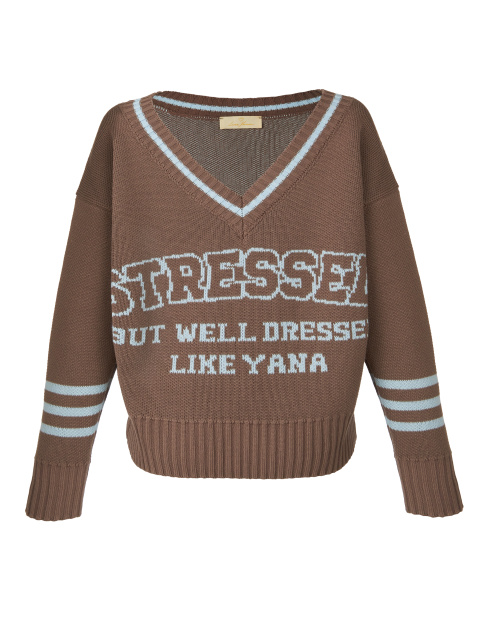 Коричнево-голубой свитер Stressed But Well Dressed, 1