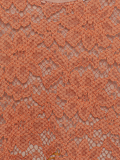 Терракотовый топ из кружева, 3 Терракотовый топ из кружева, 3