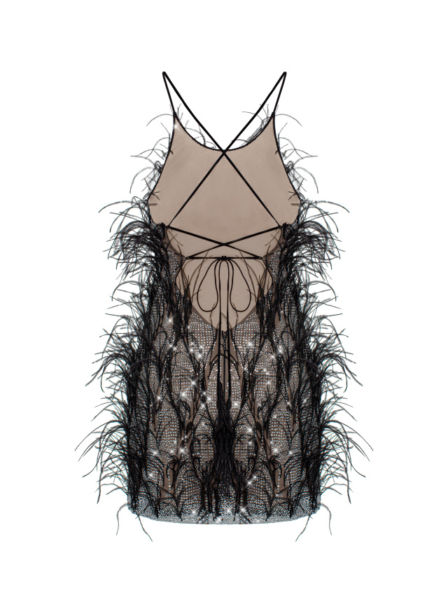 Black Feathers & Rhinestones Mesh Mini Dress, 2