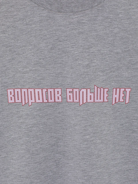 Серый хлопковый лонгслив с принтом «Вопросов больше нет», 3 Серый хлопковый лонгслив с принтом «Вопросов больше нет», 3