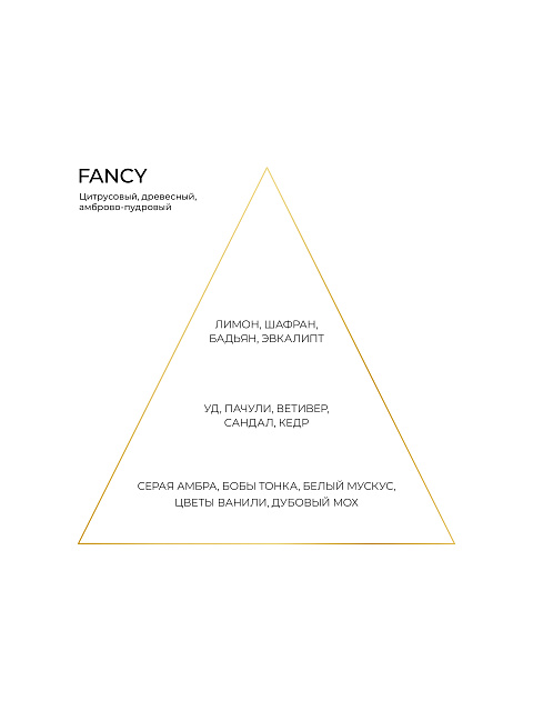 Аромат FANCY 100 мл, 2