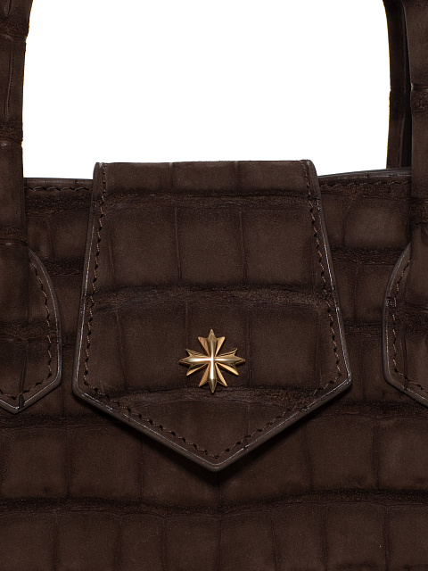 Коричневая сумка из крокодиловой кожи с серебром, 5