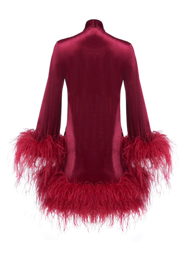 Бордовое бархатное платье-мини с перьями, 2