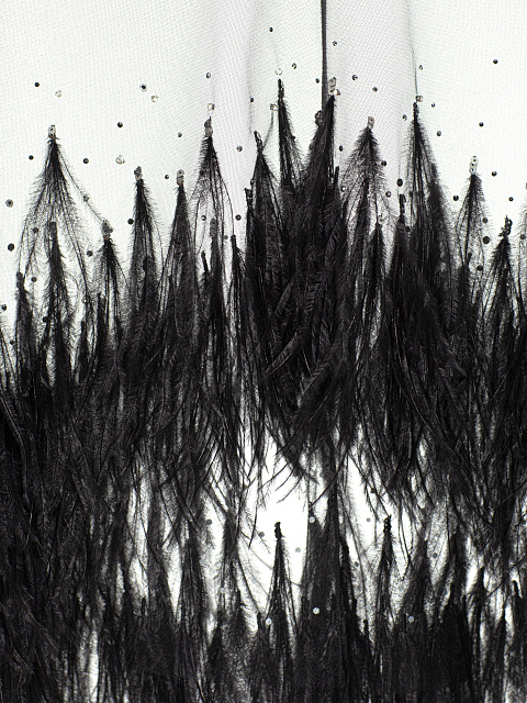 Черное платье-макси из сетки с перьями и кристаллами, 6