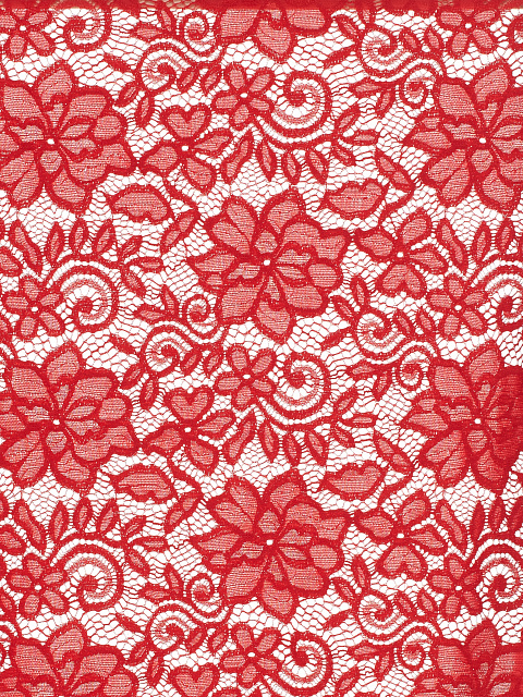 Красный кружевной костюм из рубашки и брюк, 5