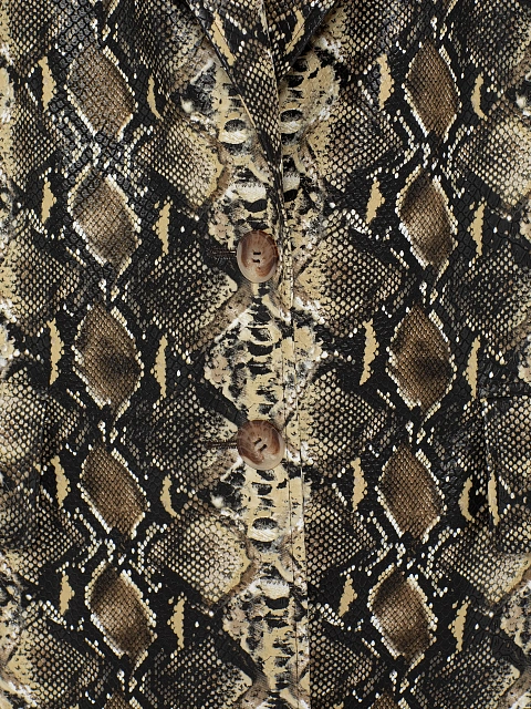 Бежевый жакет из эко-кожи со змеиным принтом, 4