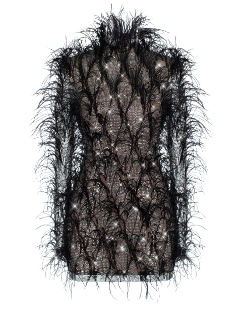 Платье-мини из сетки с перьями и стразами, 1