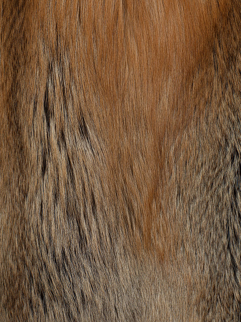 Шуба из меха лисы, 3