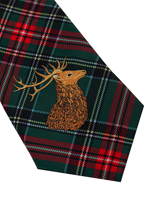 Зеленый галстук в клетку с принтом, 2