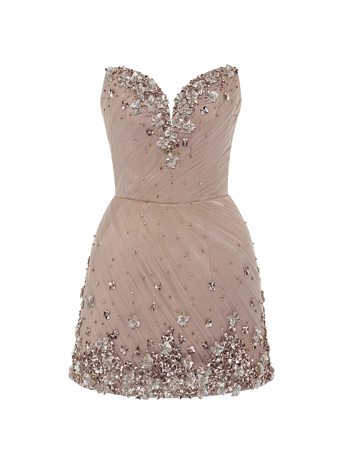 Бежевое платье-мини из сетки с цветами из страз, 1