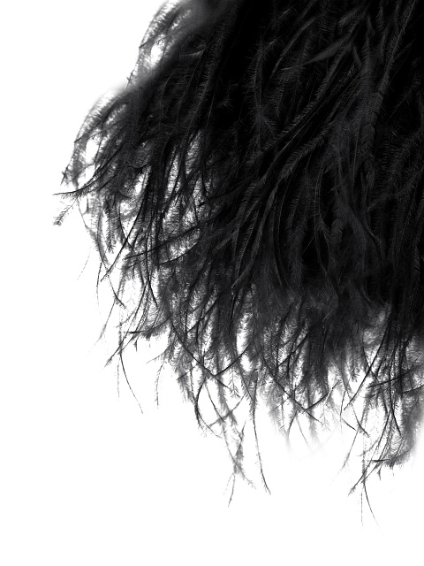 Черный топ-бра с боа, 5