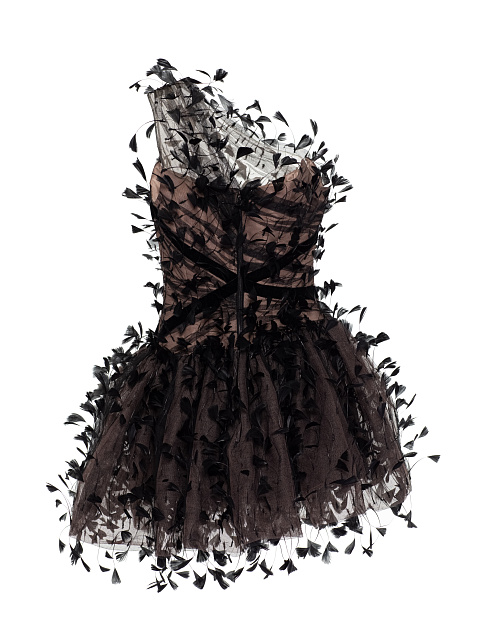 Черное платье-мини из сетки с перьями, 3