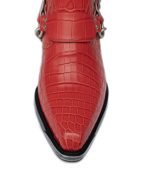 Красные казаки из кожи крокодила, 4 Красные казаки из кожи крокодила, 4