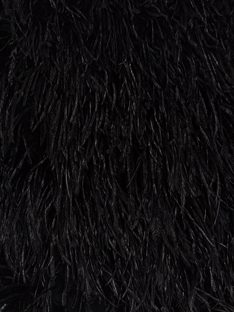 Черное боди с перьями, 3 Черное боди с перьями, 3