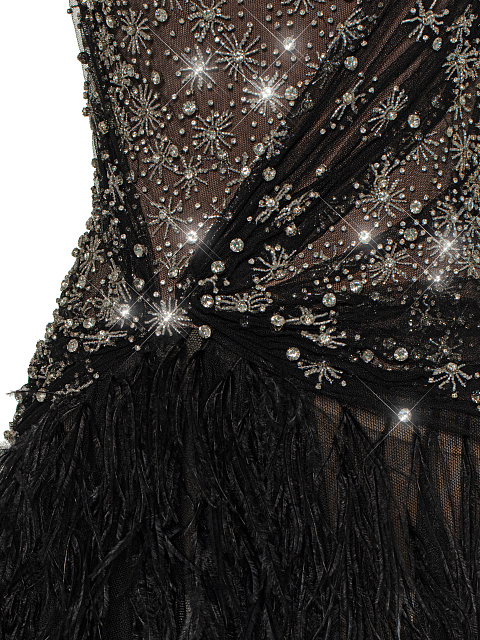 Черное платье-макси из сетки с перьями и стразами, 4 Черное платье-макси из сетки с перьями и стразами, 4