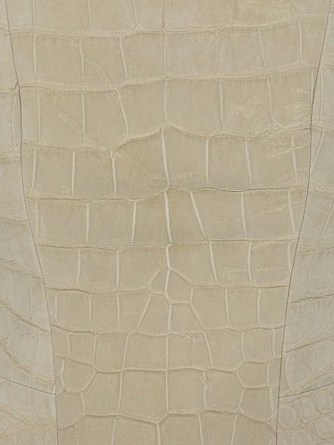 Комплект из кожи крокодила, 6 Комплект из кожи крокодила, 6