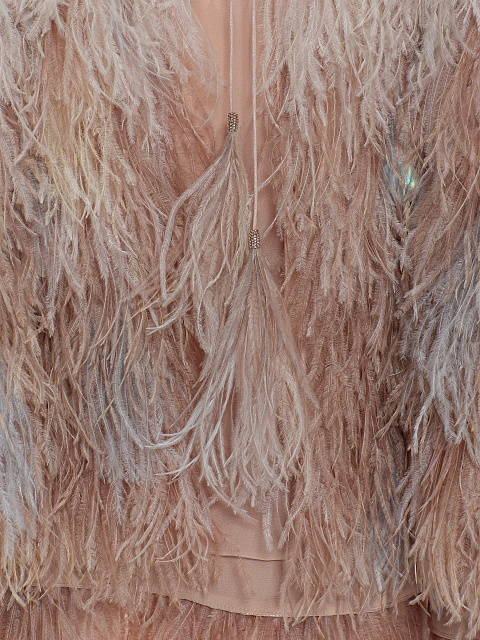 Кейп шифона с перьями, 3 Кейп шифона с перьями, 3