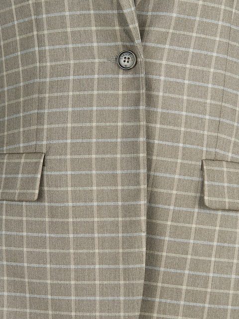 Светло-серый брючный костюм в клетку, 4