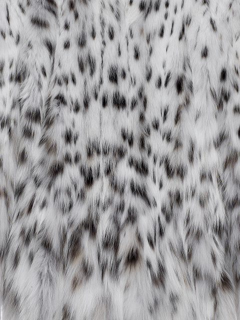 Меховой жакет из бобкэта, 5 Меховой жакет из бобкэта, 5